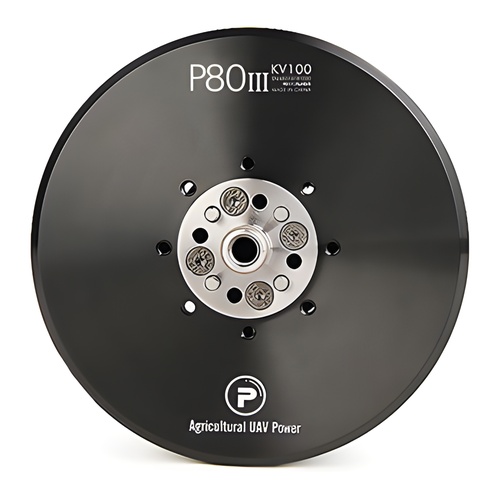 [���ܼ�] P00000ZP [T-MOTOR] Ƽ���� P80 III 100KV �귯������ ����