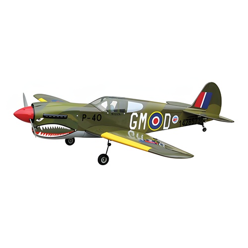 [���ܼ�]  [WORLD MODEL] 1450mm P-40 Warhawk ARF Kit