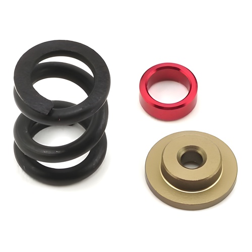 [���ܼ�] TLR232066 [TLR Racing] HD Slipper Spring Set: All 22