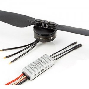 [HOBBYWING] �Ϻ��� Xrotor6 �޺� (6215 ���� 2388 ���� / CCW / G2) - ��ũ���� 