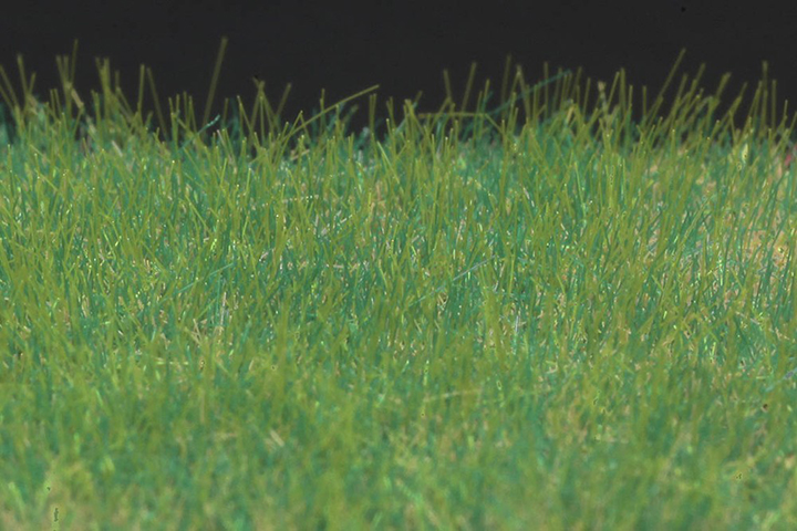 [���ܼ�] BPMDP-10 [PLATZ] BPMDP-10 Powder Foliage rectangle (4mm)