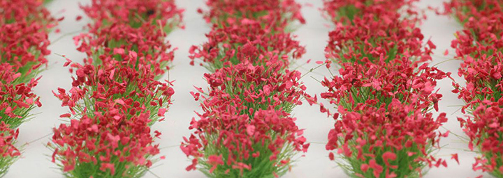[ܼ] BPMDB-8 [PLATZ] BPMDB-8 Grassland / Grass Height: 12mm (Green w/Red Flower) (42 Pieces)