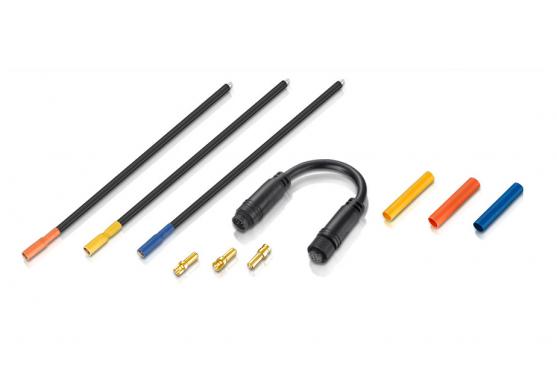 [���ܼ�] 30850301 [HOBBYWING] AXE Extended Wire Set-300MM(���� ���̾� ���弱)