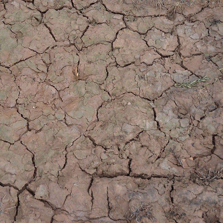 [���ܼ�] CAK8034 [AK interactive] CAK8034 WET CRACKLE EFFECTS - 100ml