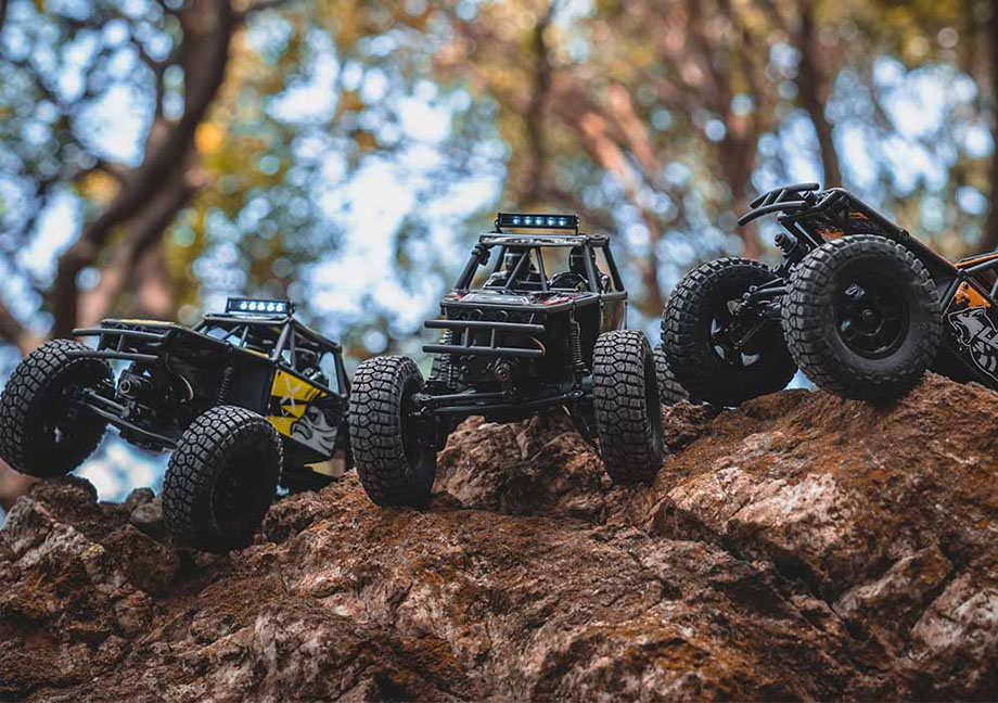 [ܼ] FMS12404RTRGN [ROC HOBBY] FMS 1:24 FCX24 Lemur RTR (, 2 )