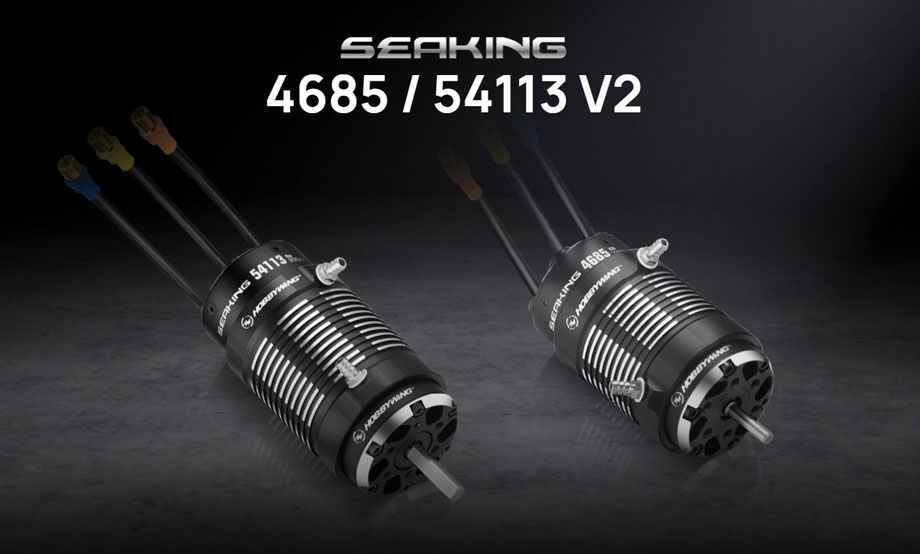 [���ܼ�] 30419002 [HOBBYWING] SEAKING 54113SL 800KV V2 (8~12S �������� ��Ʈ����)
