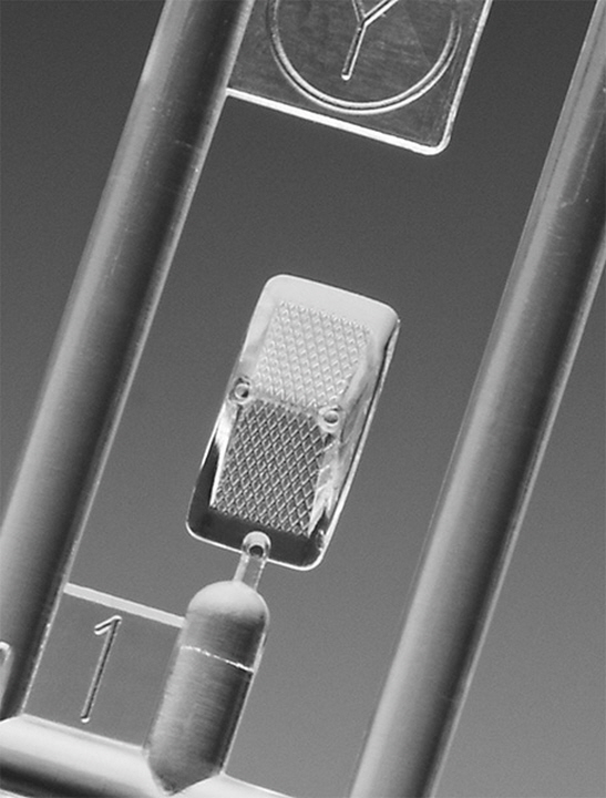 [���ܼ�] BH21779 [Hasegawa] BH21779 1/12 Honda XLR250R (MD22) (1991) MOTARD CUSTOM