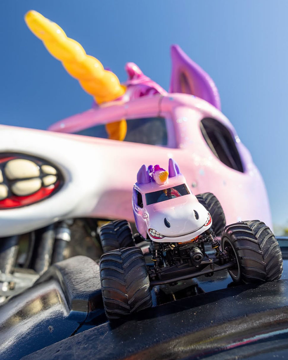 [���ܼ�] LOS01026T5 [TEAM LOSI] 1/18 Losi Mini LMT Sparkle Smash Solid Axle Monster Truck RTR (������,���͸� �� USB������ ����)